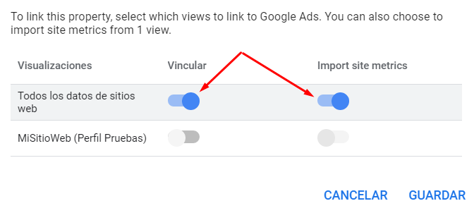 Vincular Google Ads con Google Analytics - Importacion de metricas
